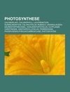 Photosynthese