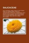 Salicaceae