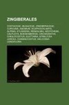 Zingiberales