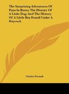 The Surprising Adventures Of Puss In Boots; The History Of A Little Dog; And The History Of A Little Boy Found Under A Haycock