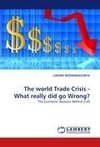 The world Trade Crisis - What really did go Wrong?