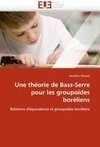 Une théorie de Bass-Serre pour les groupoïdes boréliens