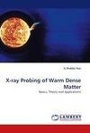 X-ray Probing of Warm Dense Matter