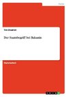 Der Staatsbegriff bei Bakunin