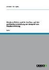 Medieneffekte und ihr Einfluss auf die politische Einstellung am Beispiel von Medien-Priming