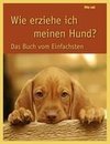 Wie erziehe ich meinen Hund