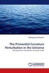 The Primordial Curvature Perturbation in the Universe