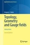 Topology, Geometry, and Gauge Fields