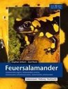 Feuersalamander