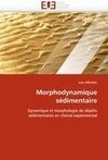 Morphodynamique sédimentaire