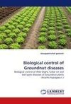 Biological control of Groundnut diseases