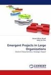 Emergent Projects in Large Organizations