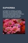 Euphorbia