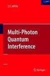 Multi-Photon Quantum Interference