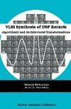 VLSI Synthesis of DSP Kernels