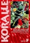 Art für Art 16. Kugelfische