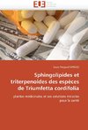 Sphingolipides et triterpenoides des espèces de Triumfetta cordifolia