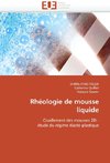 Rhéologie de mousse liquide