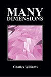 Many Dimensions (Paperback, New Ed.)