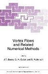 Vortex Flows and Related Numerical Methods