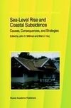 Sea-Level Rise and Coastal Subsidence: Causes, Consequences, and Strategies