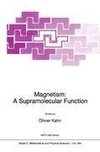 Magnetism: A Supramolecular Function