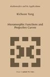 Meromorphic Functions and Projective Curves