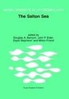 The Salton Sea