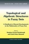 Topological and Algebraic Structures in Fuzzy Sets