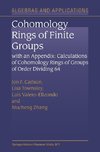 Cohomology Rings of Finite Groups