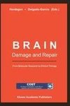 Brain Damage and Repair