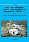 Morphology, Molecules, Evolution and Phylogeny in Polychaeta and Related Taxa