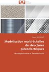 Modélisation multi-échelles de structures piézoélectriques