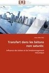 Transfert dans les bétons non saturés: