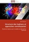 Structure des hadrons et approches constituantes