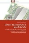 Epitaxie de phosphures à grande échelle