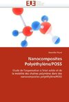 Nanocomposites Polyéthylène/POSS