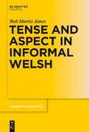 Tense and Aspect in Informal Welsh