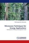 Microwave Techniques for Energy Applications