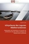 Ichtyofaune des Lagunes Méditerranéennes