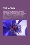 Tur Abdin