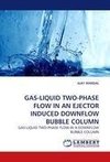 GAS-LIQUID TWO-PHASE FLOW IN AN EJECTOR INDUCED DOWNFLOW BUBBLE COLUMN