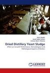 Dried Distillery Yeast Sludge