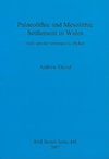 Palaeolithic and Mesolithic Settlement in Wales