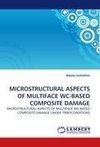 MICROSTRUCTURAL ASPECTS OF MULTIFACE WC-BASED COMPOSITE DAMAGE