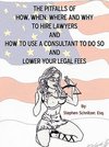 The Pitfalls of How, When, Where and Why To Hire Lawyers And How to Use A Consultant To Do So And Lower Your Legal Fees