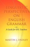 Linguistic Perspectives on English Grammar