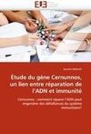 Étude du gène Cernunnos, un lien entre réparation de l'ADN et immunité