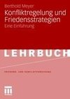 Konfliktregelung und Friedensstrategien