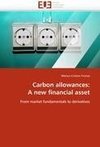 Carbon allowances: A new financial asset